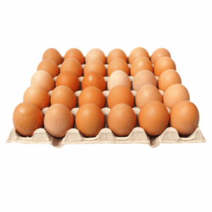 Crate Of Eggs Standard Size Holds 30