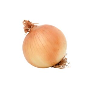 Onion Loose Single